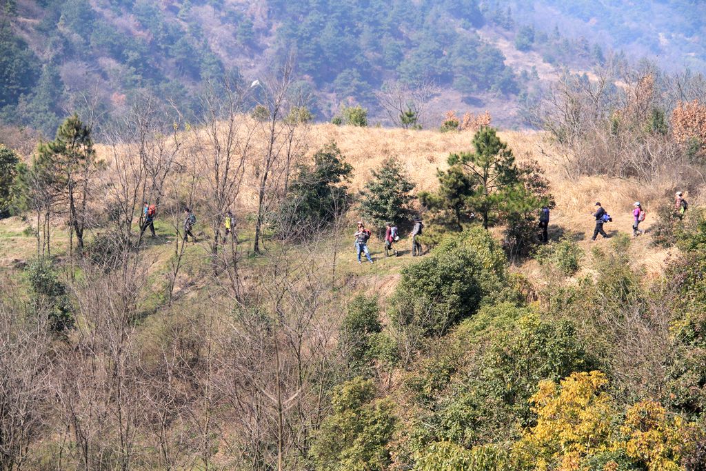 img_0081.jpg
