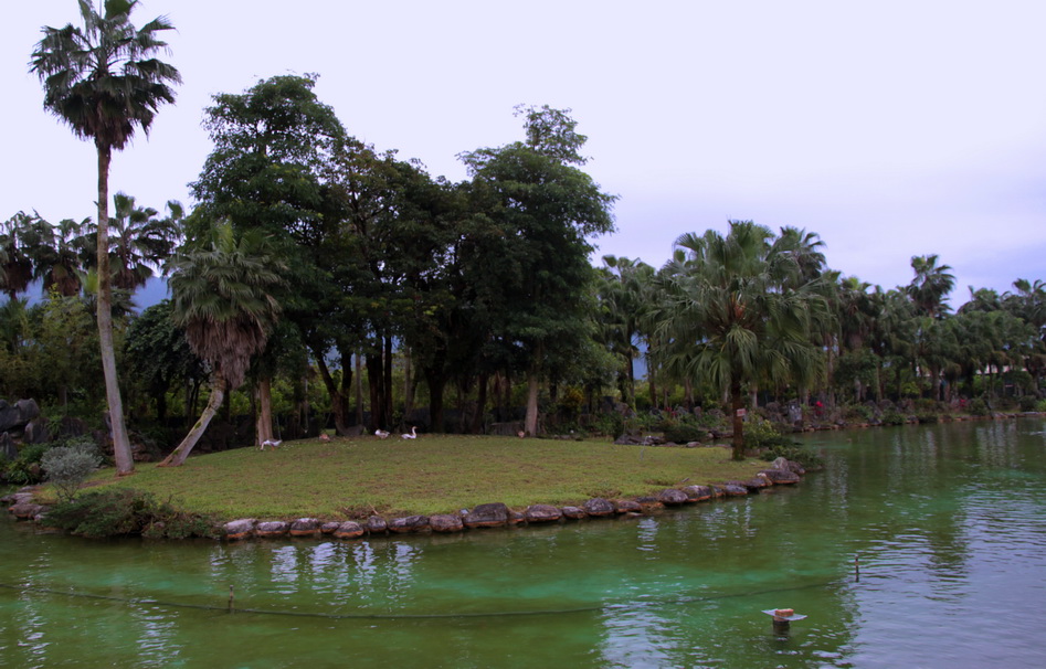 r58.jpg