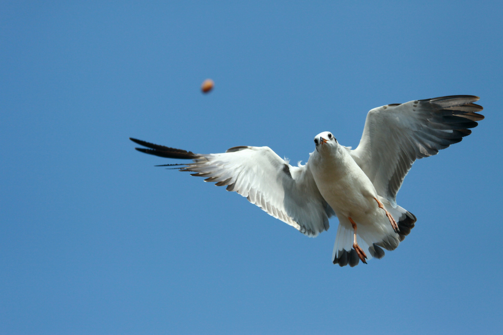 img_7697.jpg