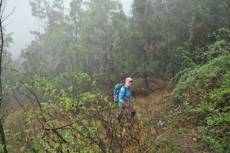 dsc_9788_����.jpg