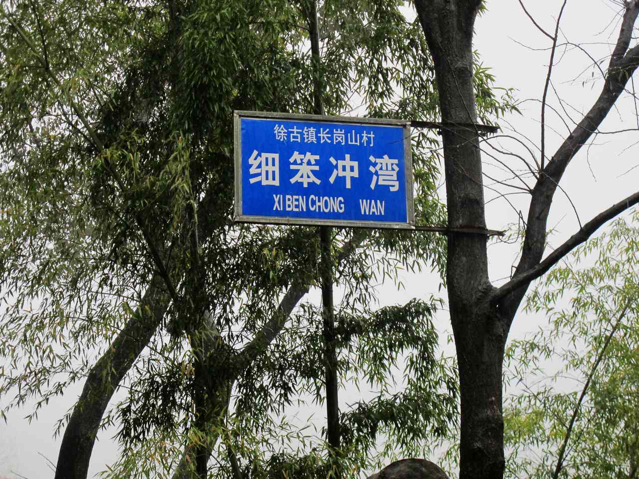 img_7934.jpg