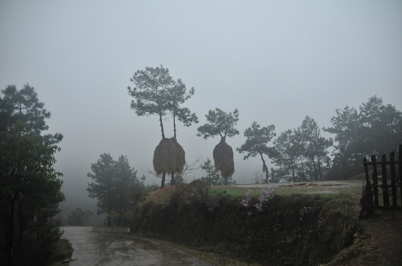 dsc_9831_����.jpg
