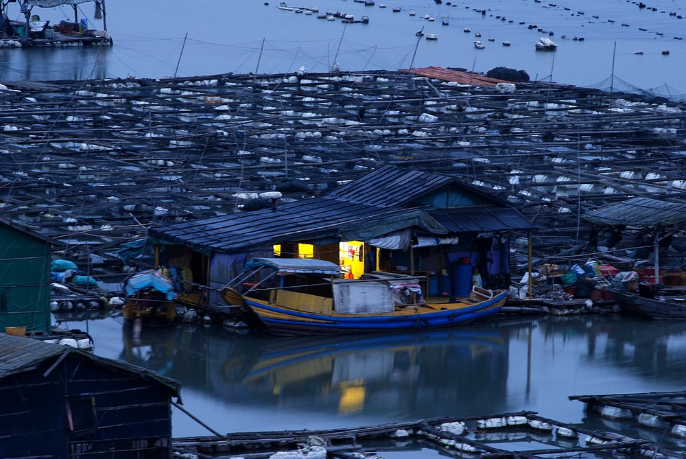 dsc_0243.jpg