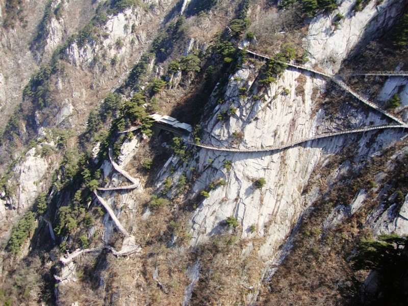 psbeca9lprrp.jpg