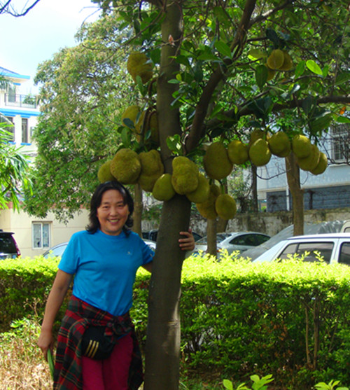 dsc00010_����.jpg