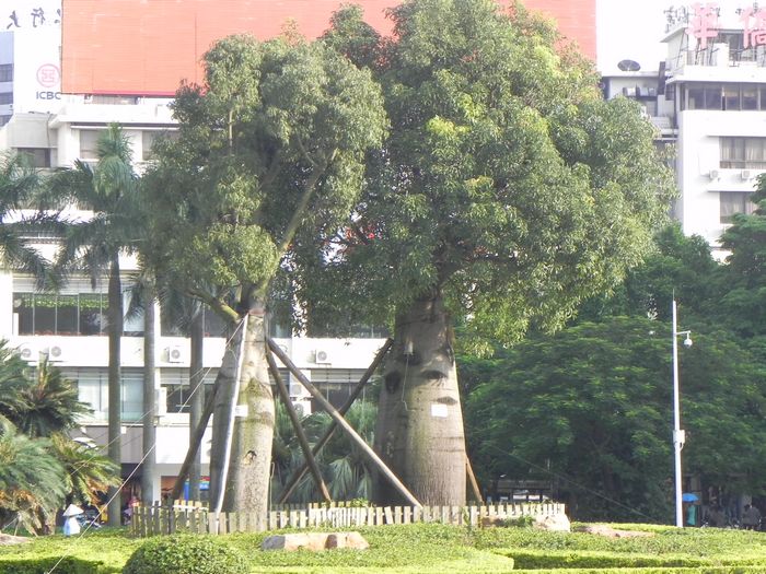 dscn1412.jpg