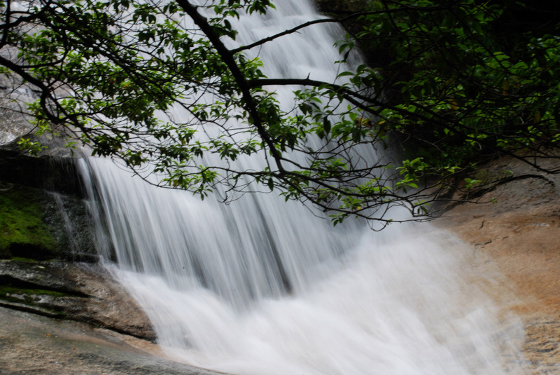 dsc_2349.jpg