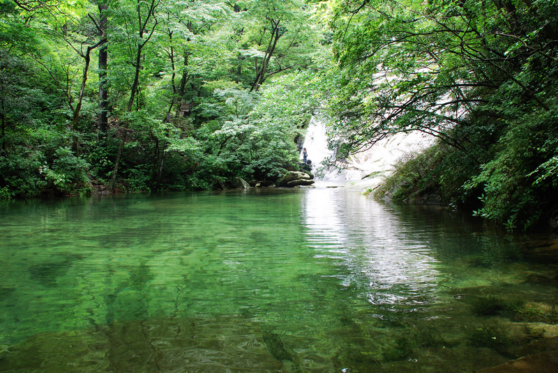 dsc_2356.jpg