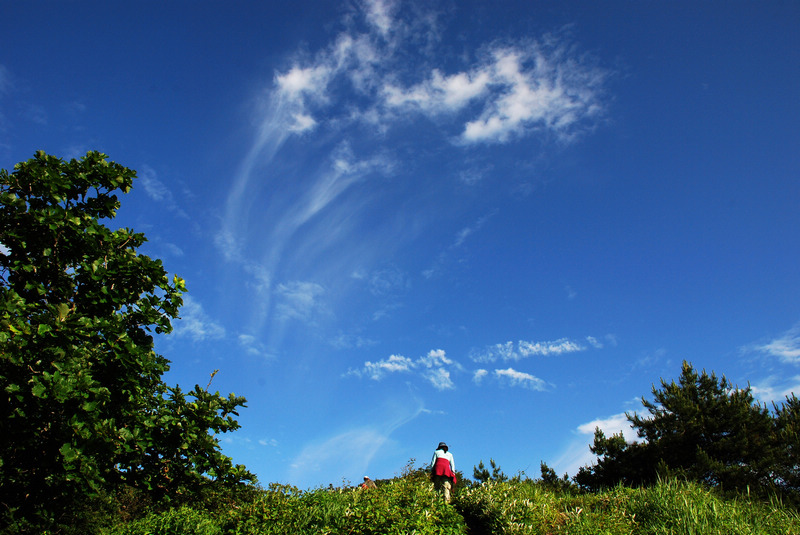 dsc_2567.jpg