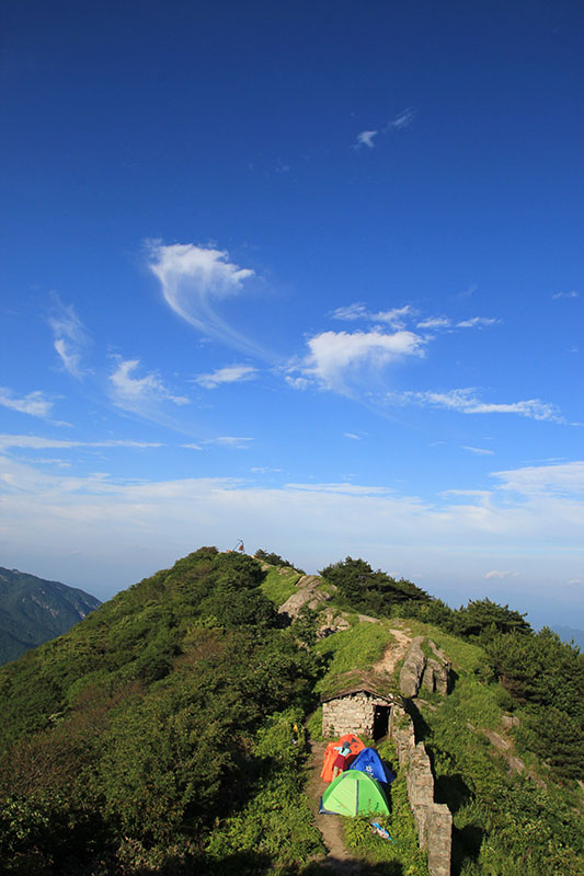 img_7747.jpg