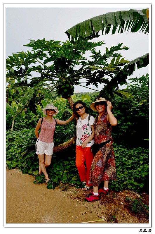 ��޵�1 (159)_��Ŀѹ��.jpg