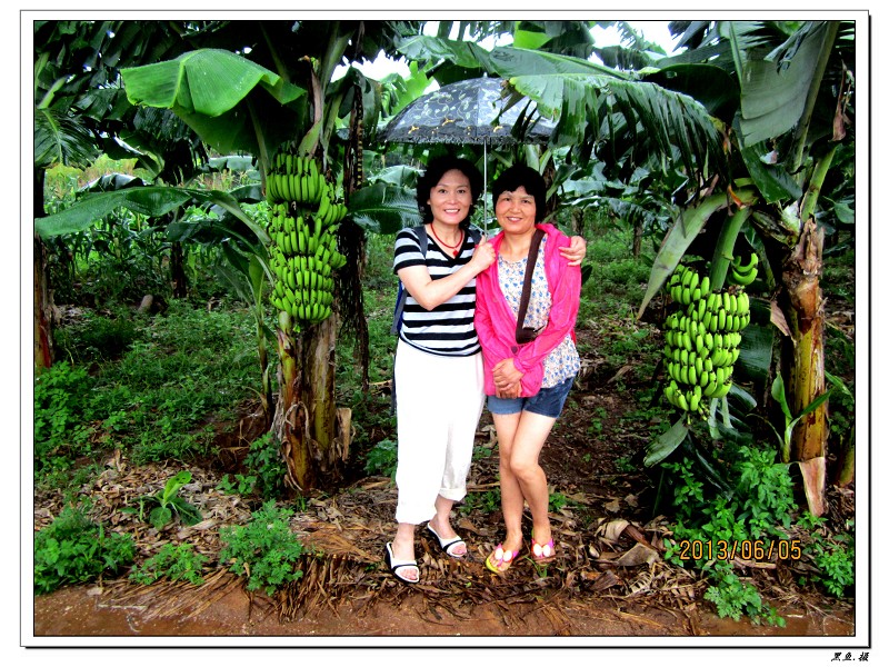 ��޵�1 (261)_��Ŀѹ��.jpg