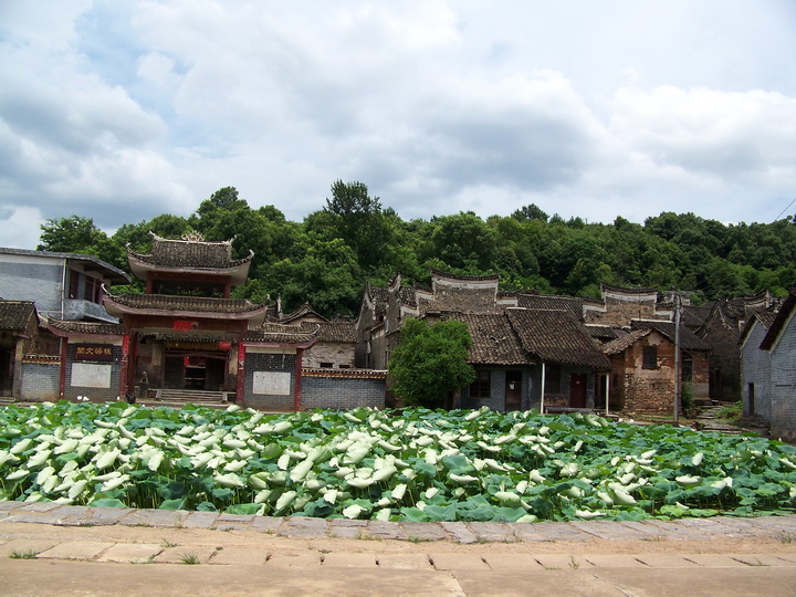 100_9682.jpg