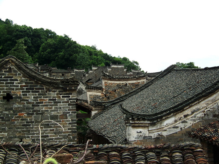 100_9742.jpg