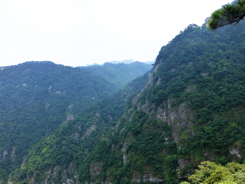 p1090318.jpg