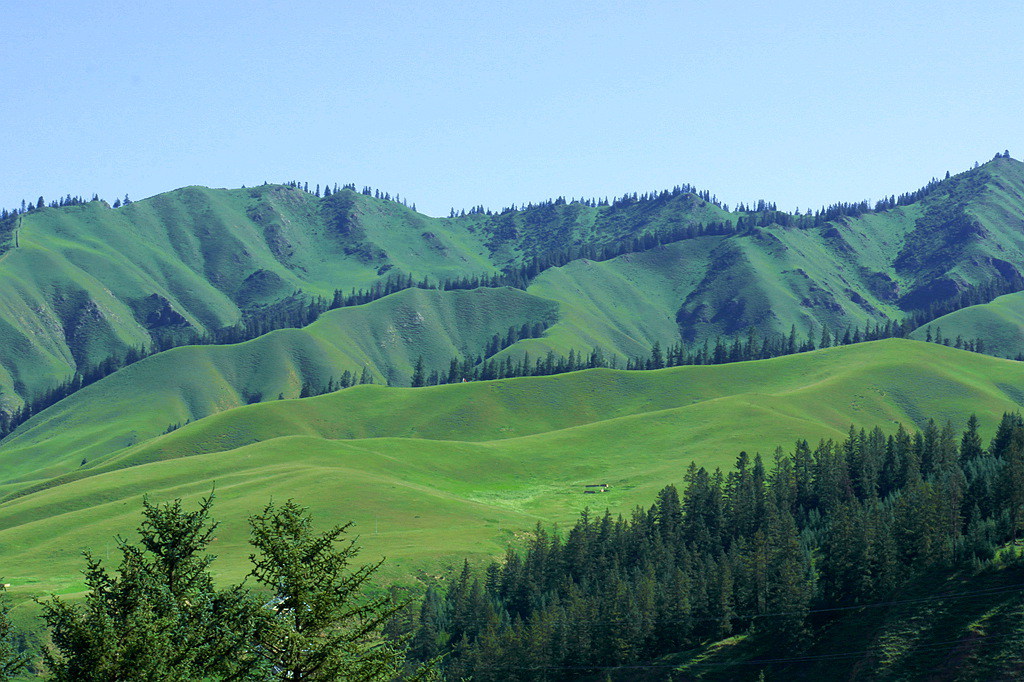 sam_9433.jpg