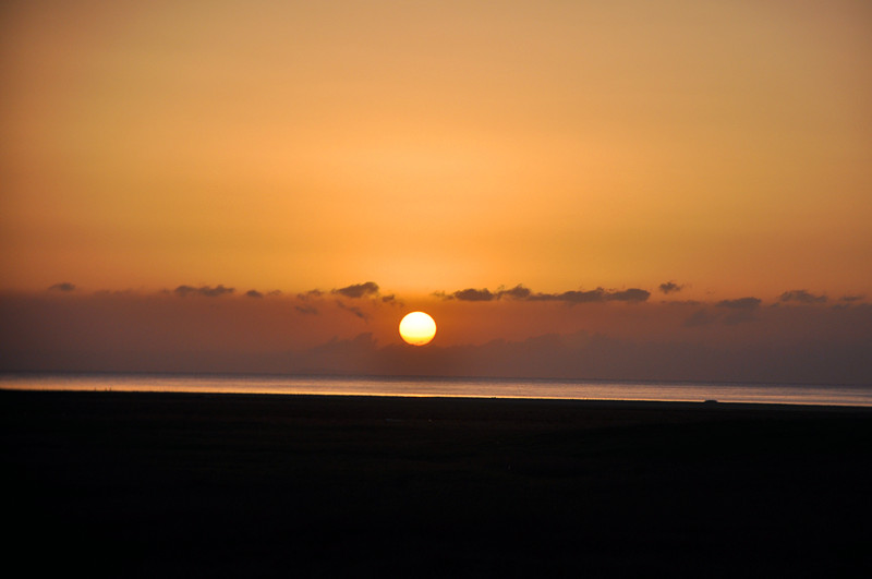 dsc_0646_����.jpg