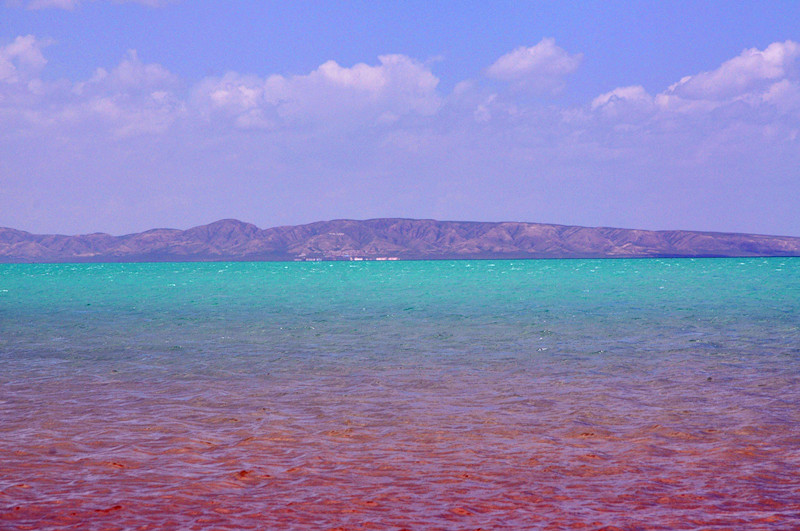 dsc_0591_����.jpg