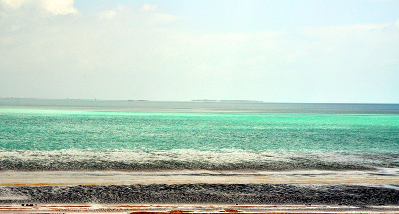 dsc_0585_����.jpg