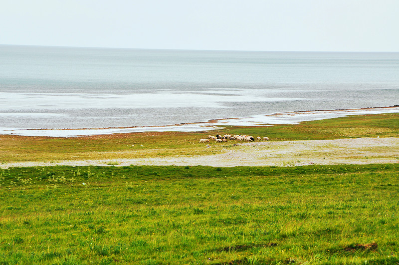 dsc_0575_����.jpg