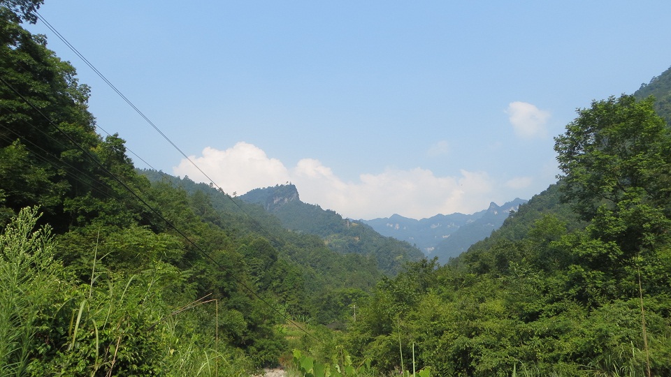 119.jpg