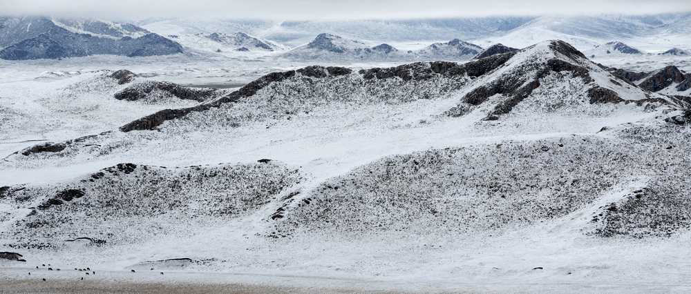 dsc_0283.jpg