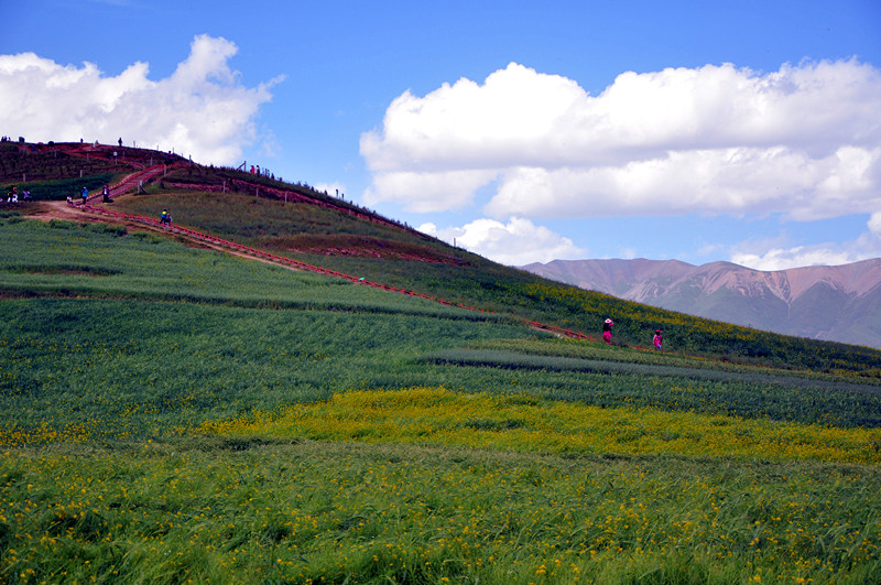 dsc_0301_����.jpg