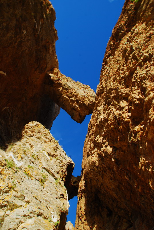dsc_0375.jpg