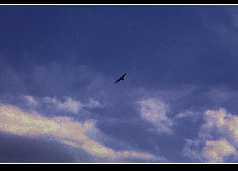 img_3868.jpg