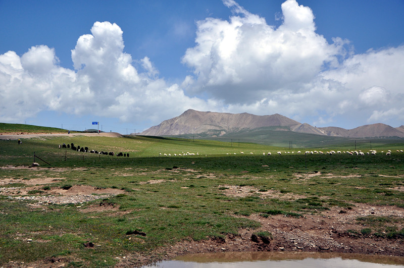 dsc_0426_����.jpg