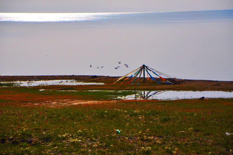 dsc_0460_����.jpg