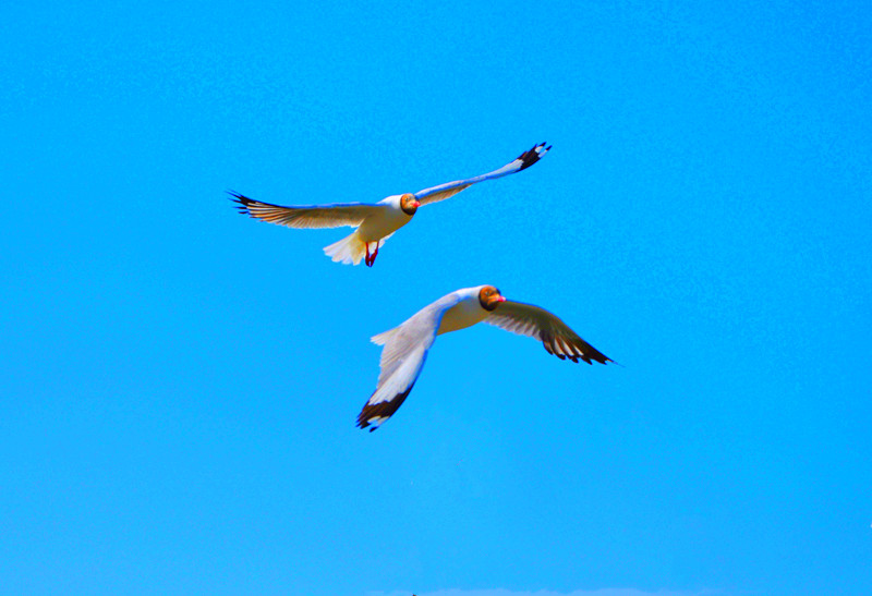dsc_0464_����.jpg