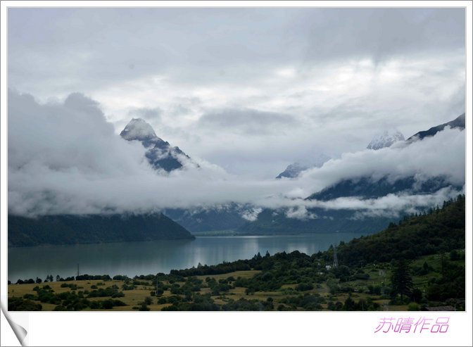 _dsc8788.jpg