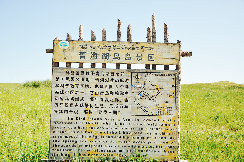 dsc_0487_����.jpg