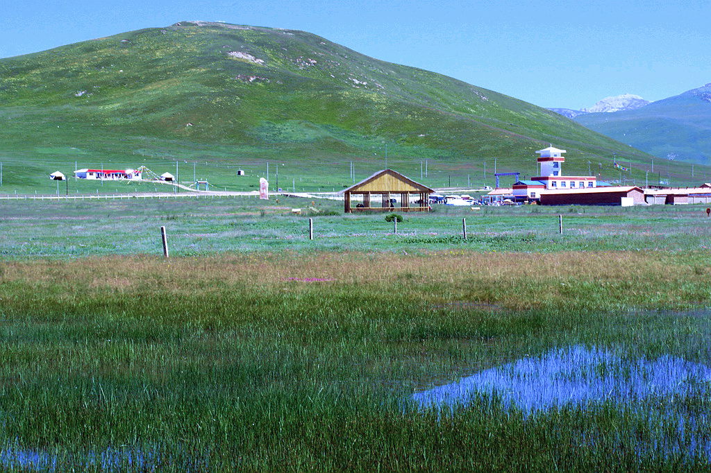 sam_1670.jpg