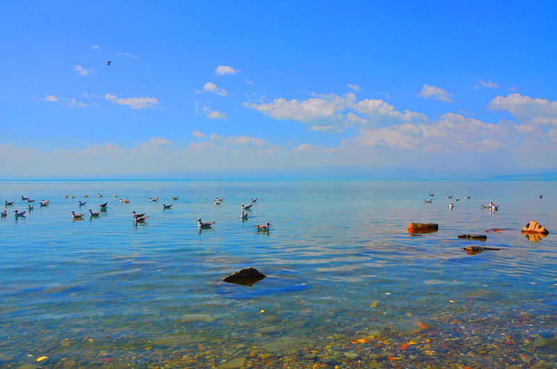 dsc_0547_����.jpg