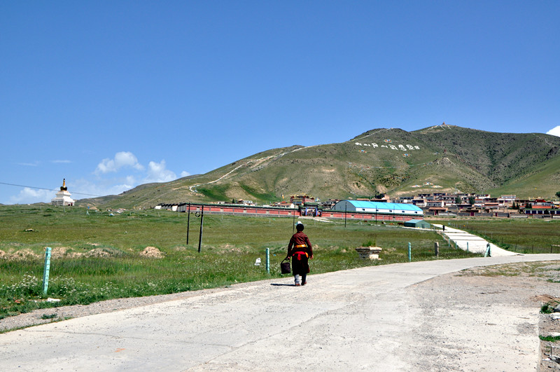 dsc_0556_����.jpg