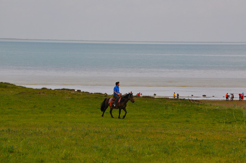 dsc_0565_����.jpg