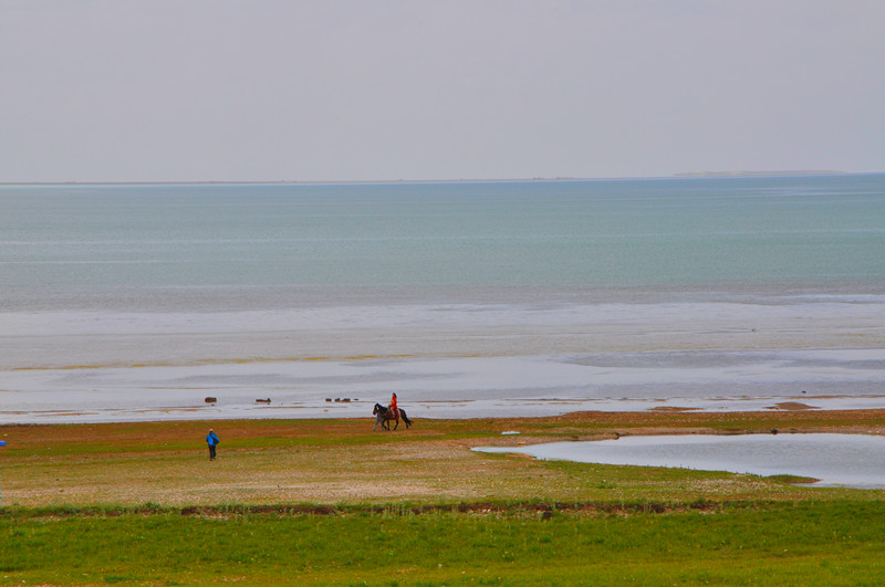 dsc_0577_����.jpg