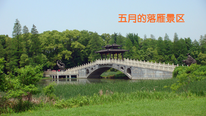 DSC09817_����.jpg