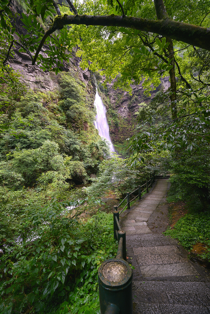 DSC_5901.jpg
