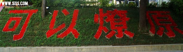 DSC01512.JPG