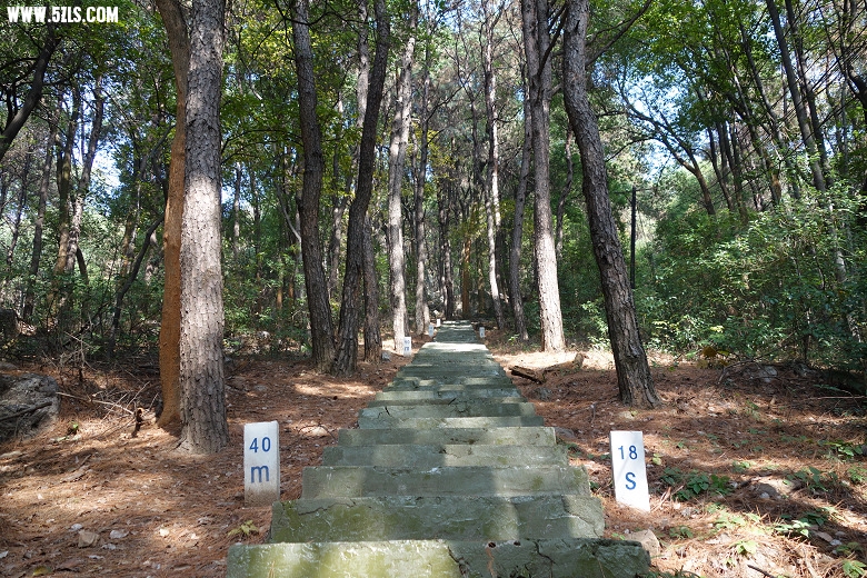 7.DSC00038.JPG