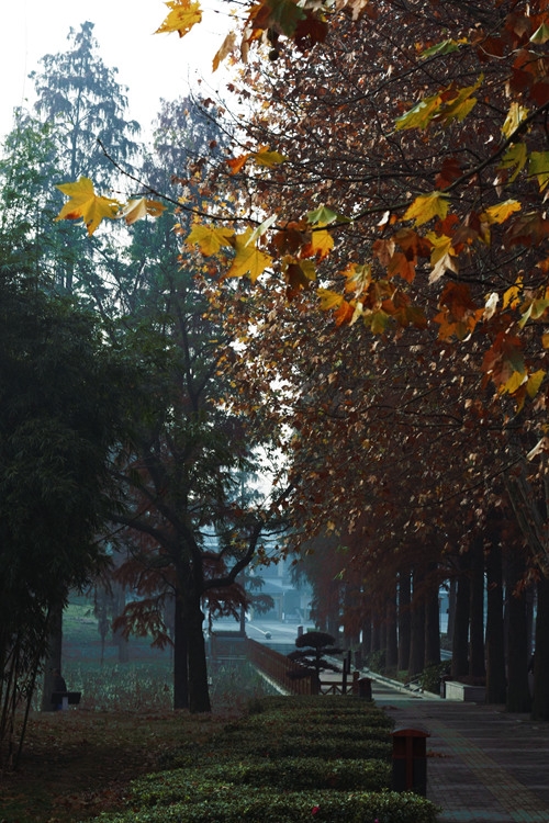 _MG_5624_����.jpg