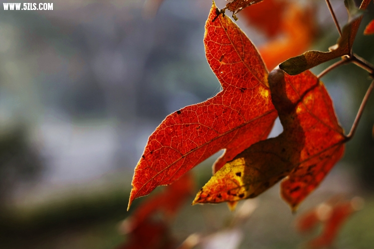 _MG_5628_����.jpg