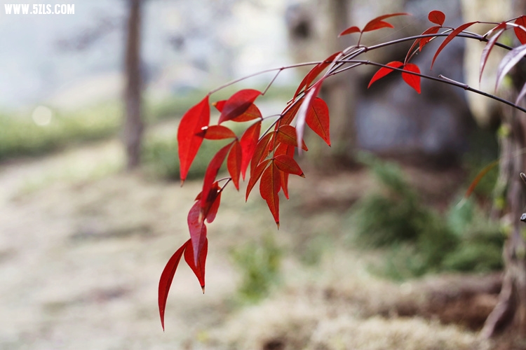 _MG_5646_����.jpg