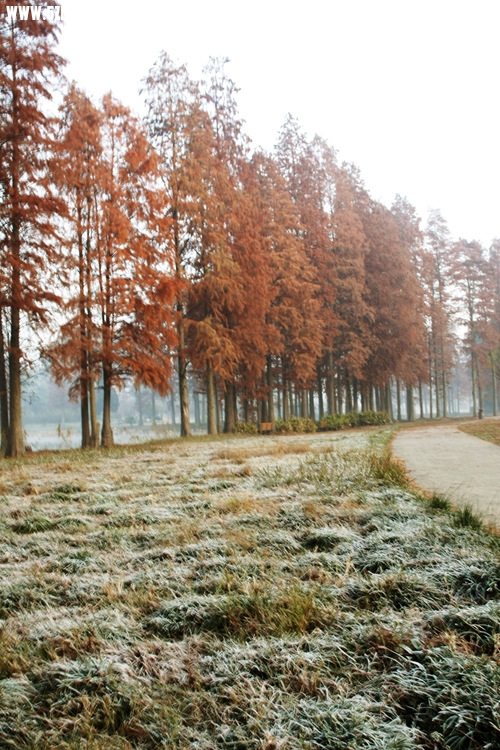 _MG_5715_����.jpg