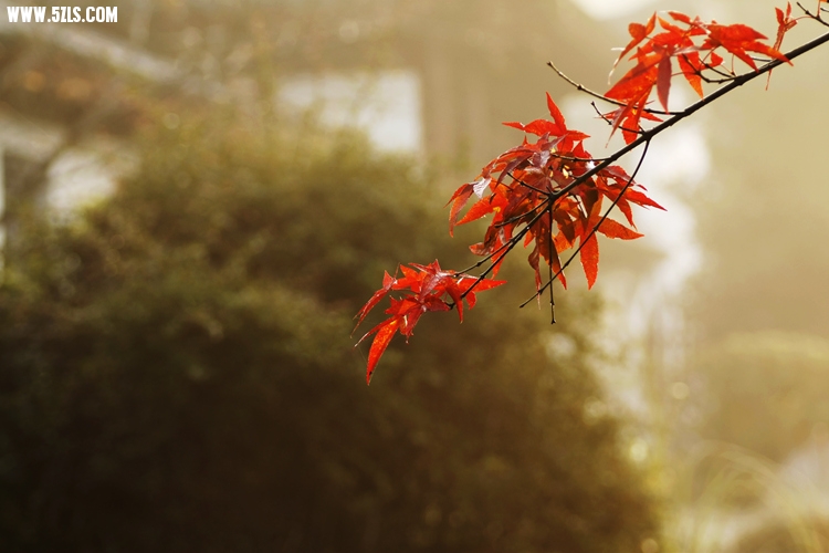 _MG_5722_����.jpg