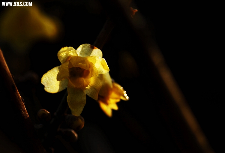 _MG_5752_����.jpg
