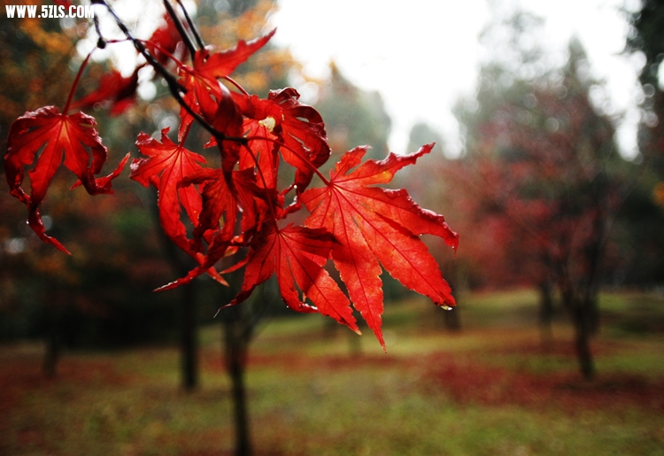 _MG_5796_����.jpg